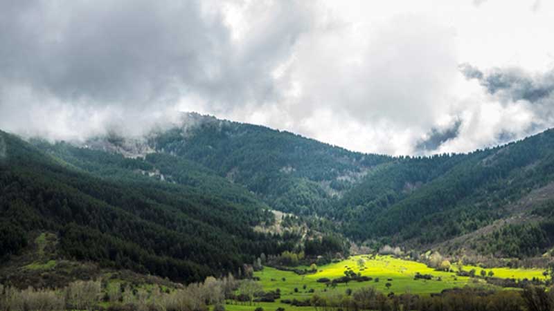 Dumanlı