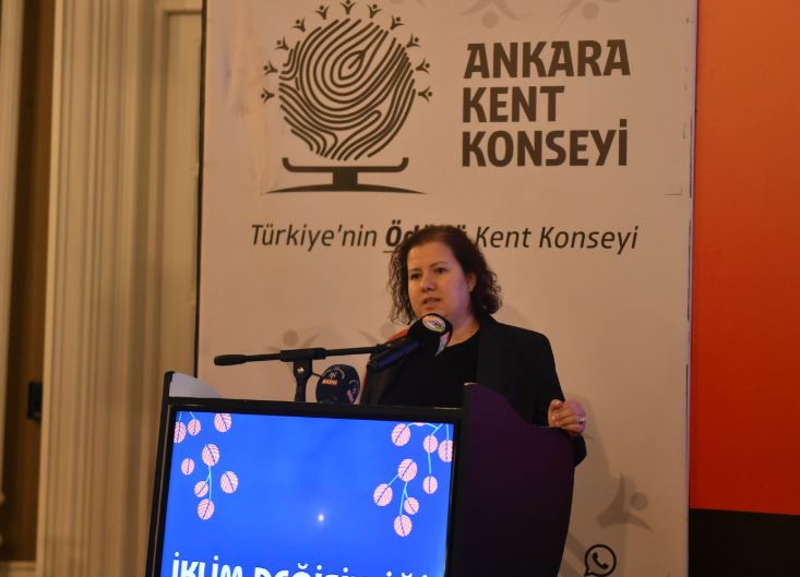 Duygu