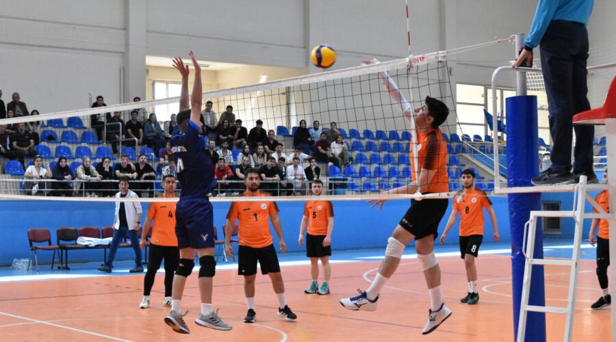 Şmy O 2