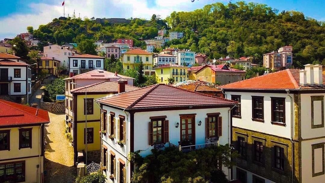 Giresunzeytinlikevleri