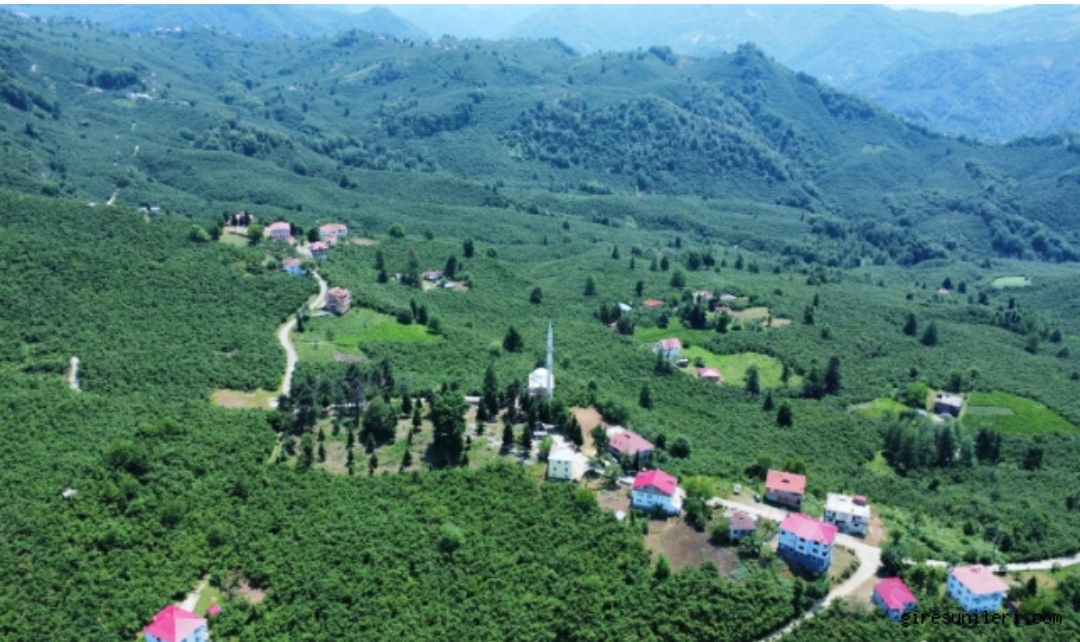 Abdullu Köyü Kuruluyor (2)