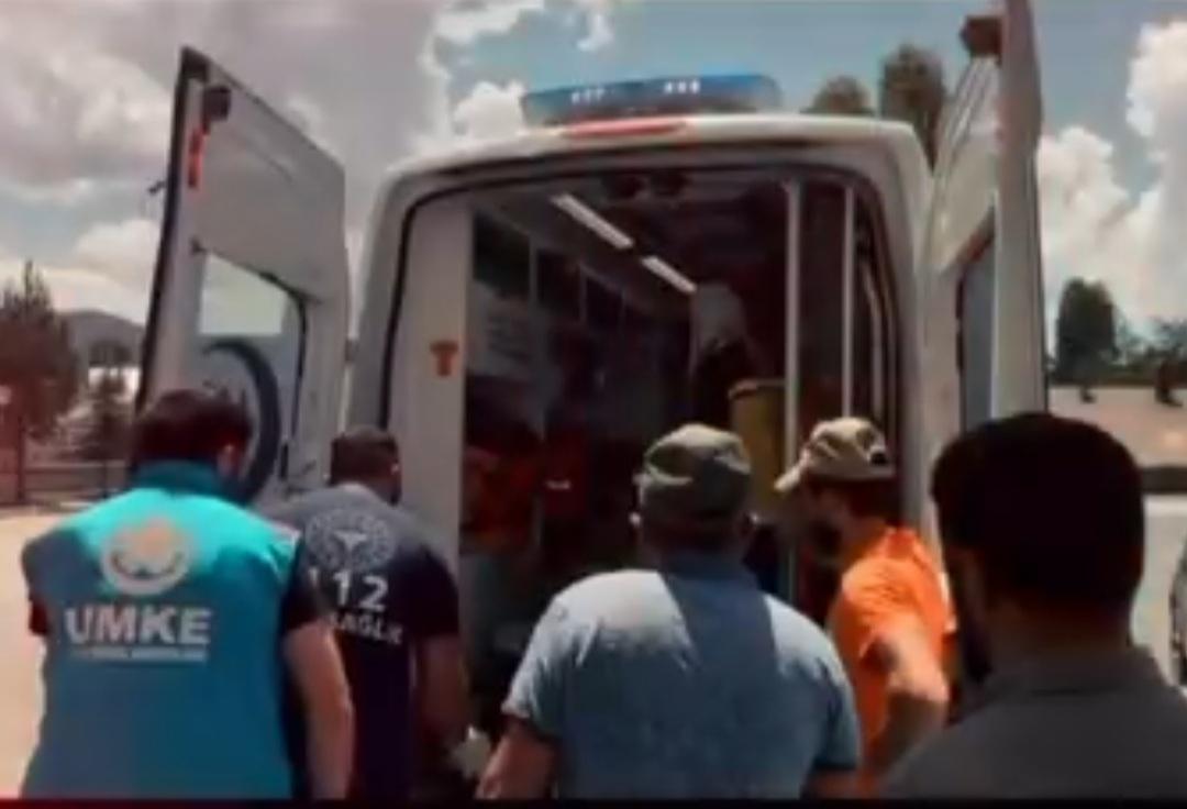 E2-233