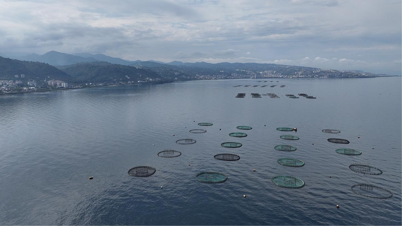 Karadeniz’den 31 ülkeye 278 milyon dolarlık su ürünü ihracatı