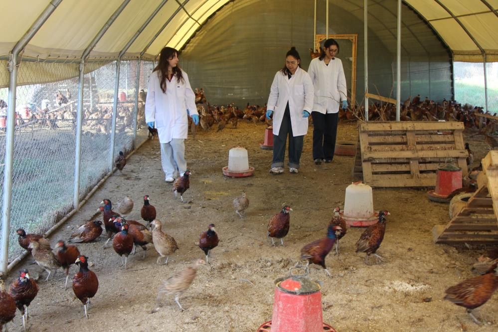 591122036 17991415838896849 6195043378780936476 N