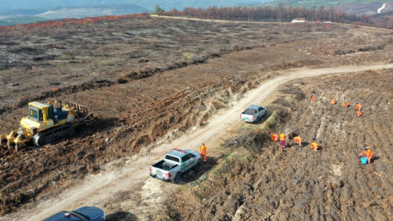 “Alev Savaşçıları” bu kez yangın alanları yeniden yeşillendiriliyor