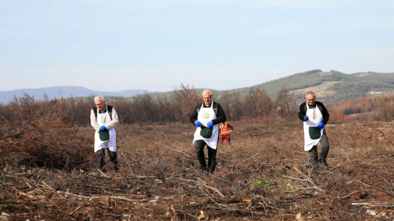 “Alev Savaşçıları” bu kez yangın alanları yeniden yeşillendiriliyor