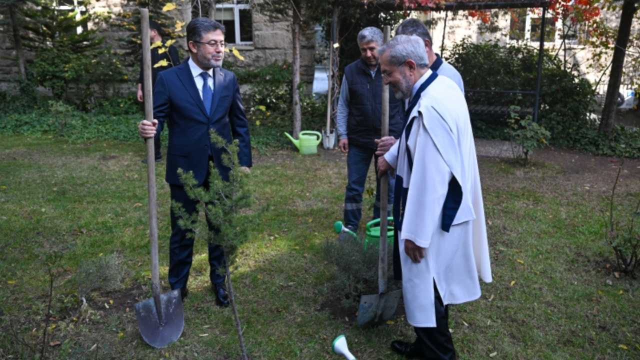 Bu yıl 550 milyona yakın fidan toprakla buluşacak