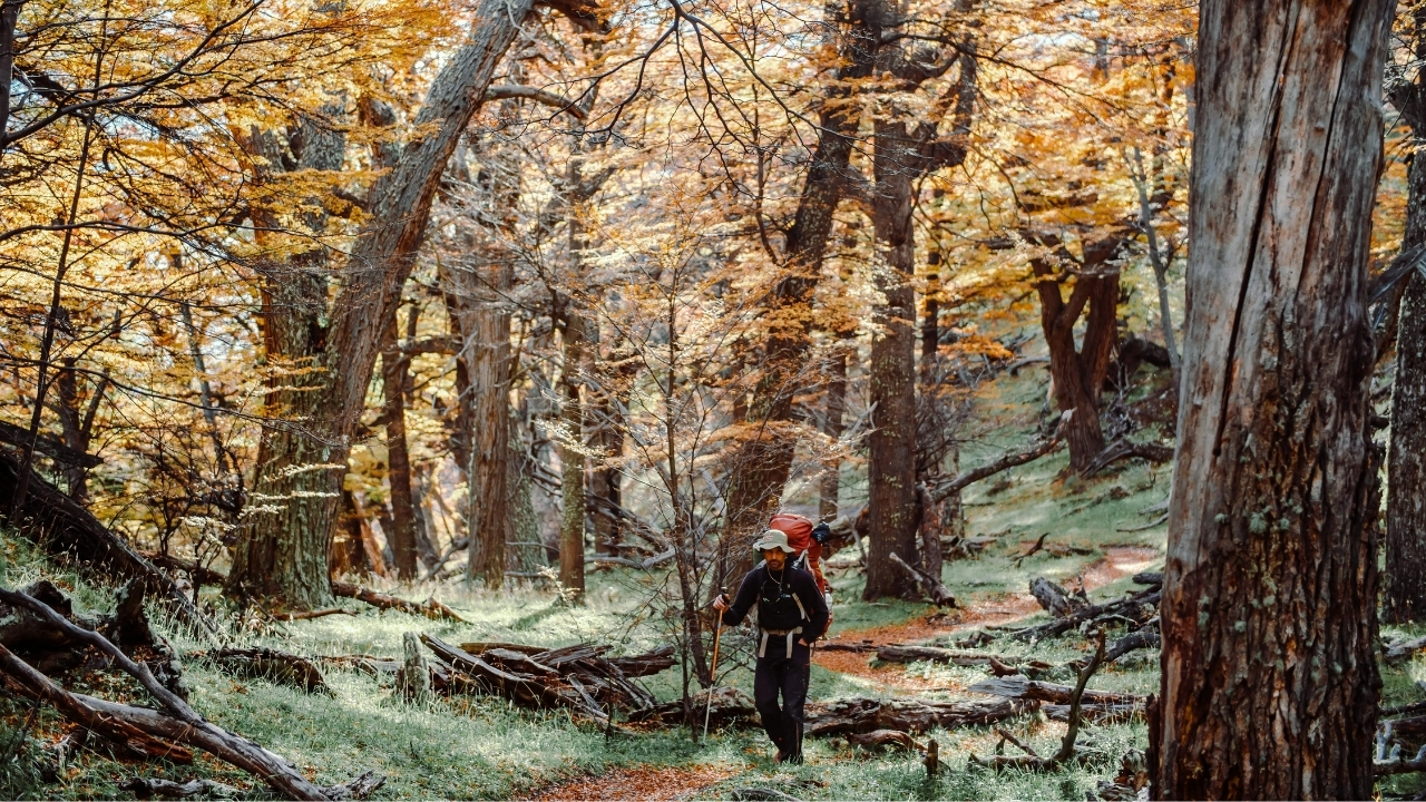 Hafta sonu pastırma sıcakları devam edecek