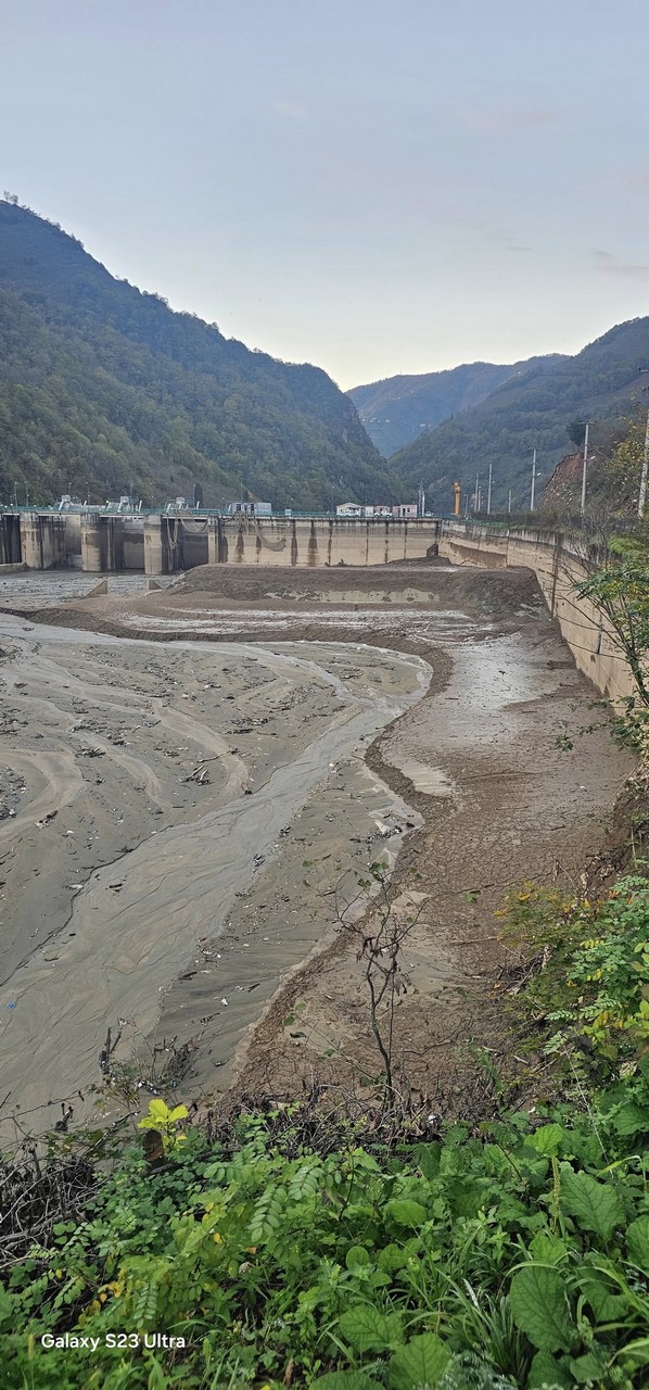 583026542 10235701098725245 416949286774708314 N