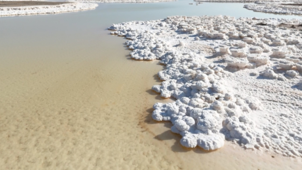 Tuz Gölü'nde kırmızı alarm 90 yılda yüzde 85 küçüldü