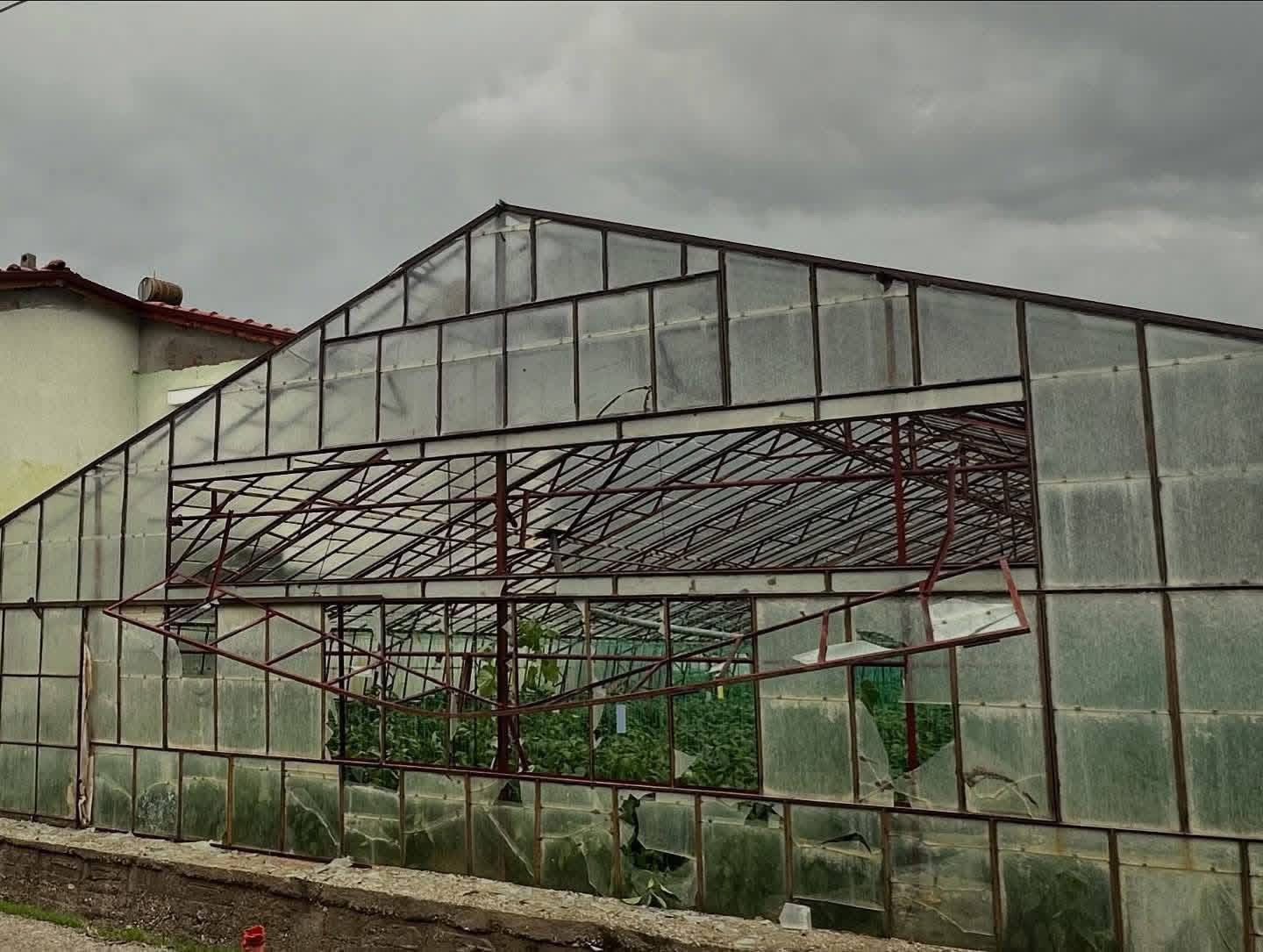 Whatsapp Image 2025 11 07 At 14.19.27 (1)