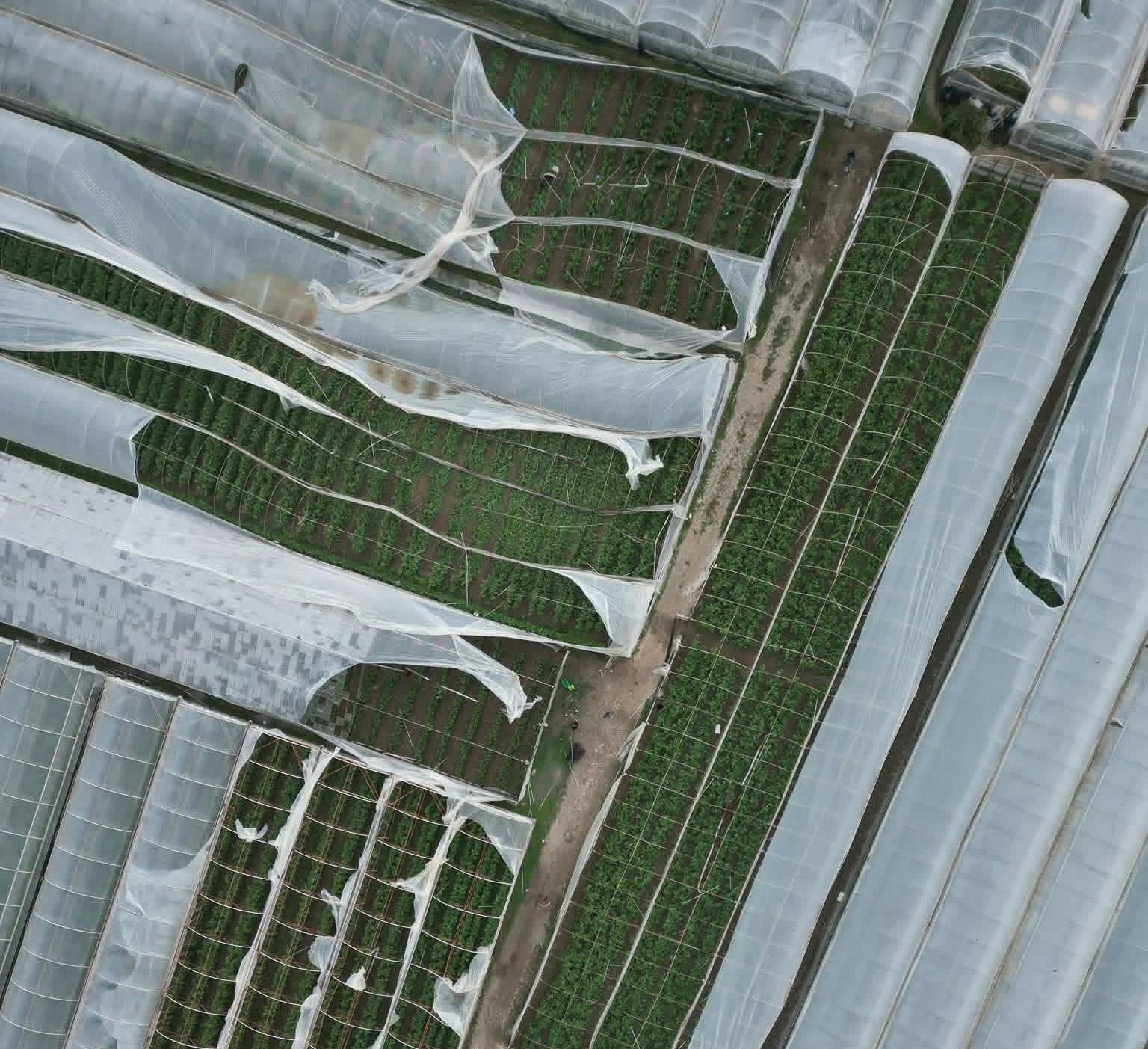 Whatsapp Image 2025 11 07 At 14.19.28