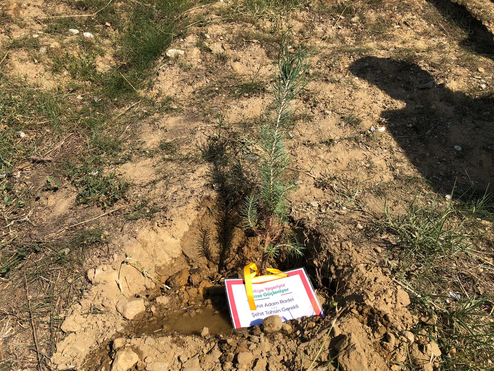 Whatsapp Image 2025 11 19 At 00.26.01 (1)