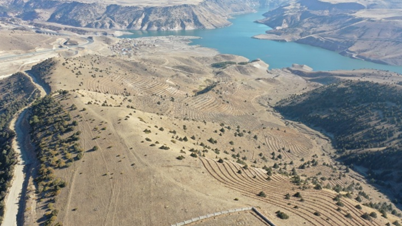 Doğu Anadolu’da yaklaşık 9 milyon fidan ve tohum toprakla buluşturuldu