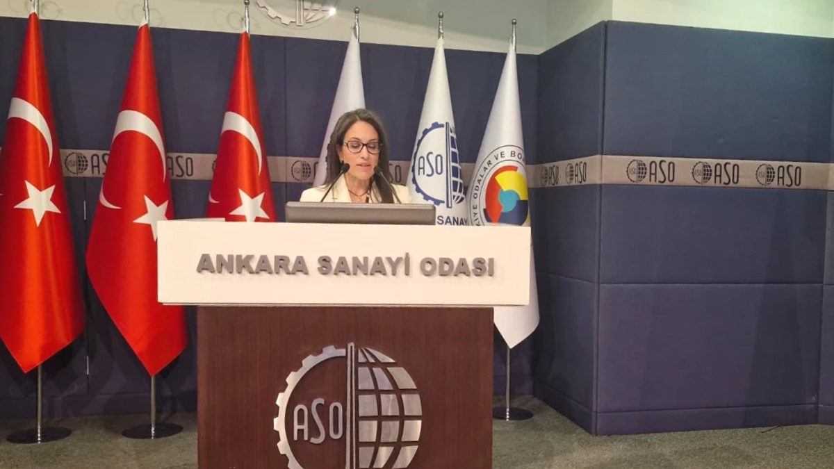 Tobb Ankara Kadın Girişimciler Kurulu Başkanı Hande Öztürk