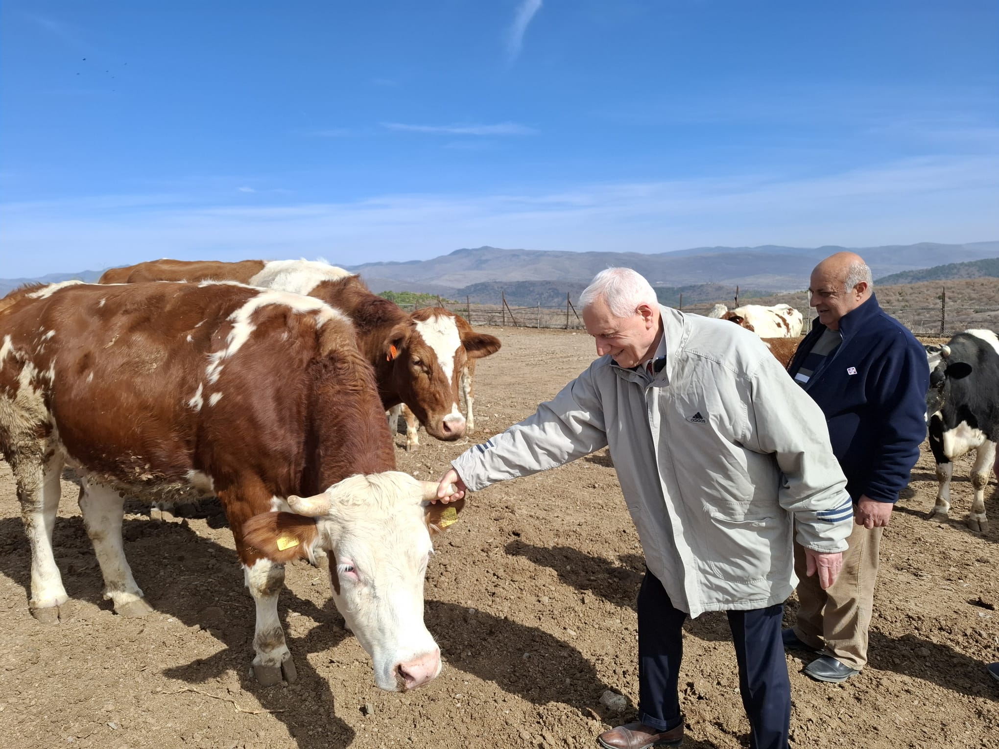 Whatsapp Image 2025 12 17 At 08.46.09