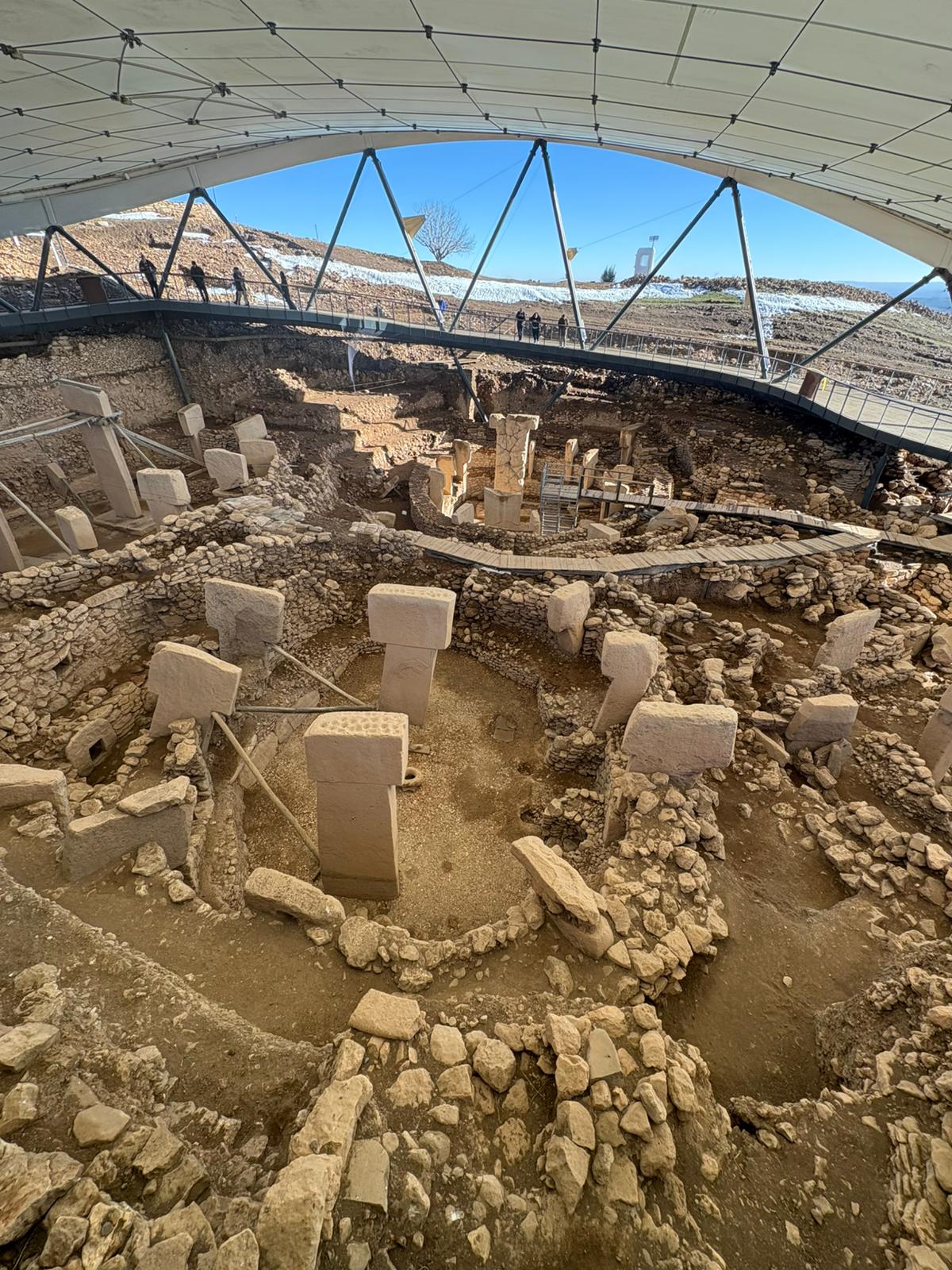 Whatsapp Image 2026 01 10 At 11.52.44