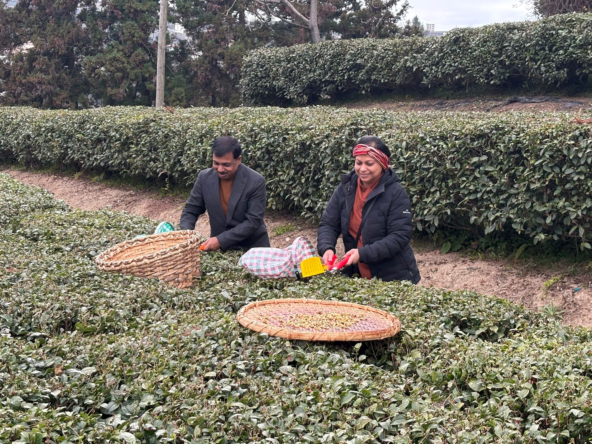 Whatsapp Image 2026 01 31 At 10.11.55 (3)