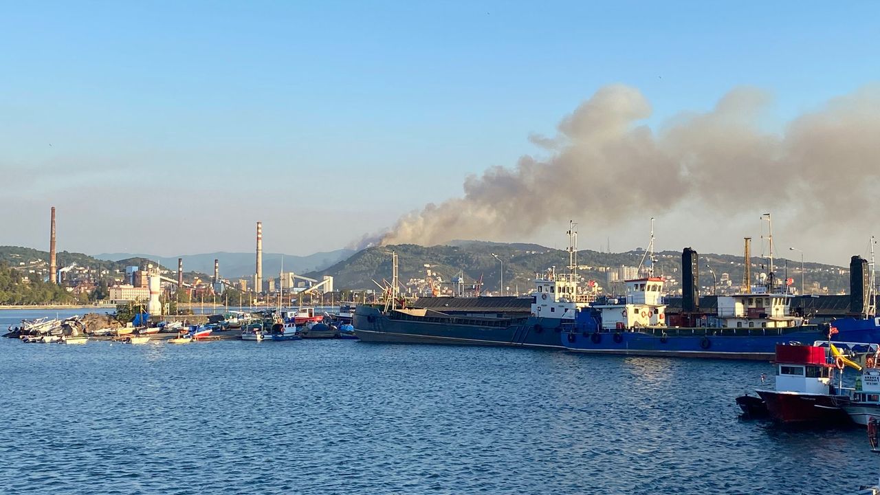 Karadeniz Ereğli'de orman yangını