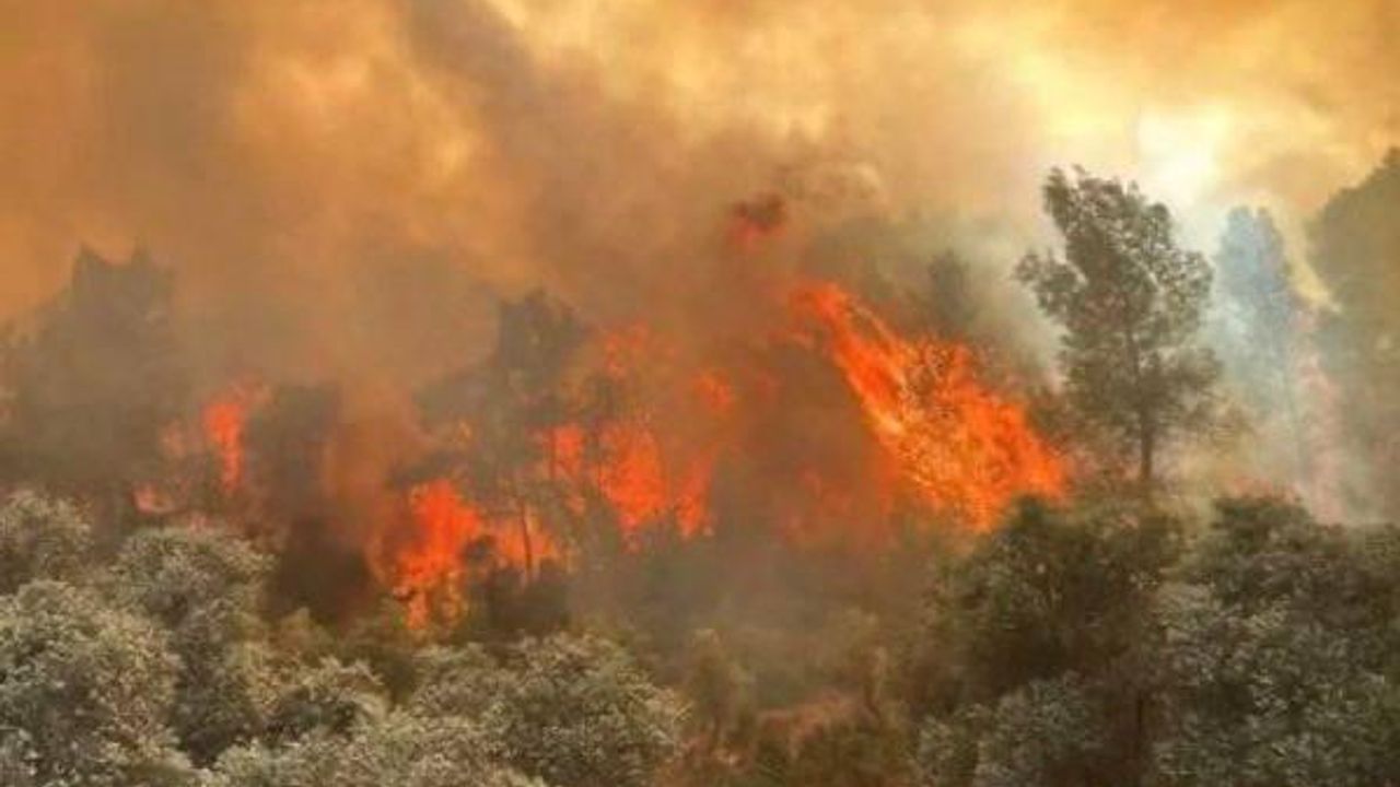 Eskişehir Seyitgazi’de facia: 10 orman işçisi şehit oldu