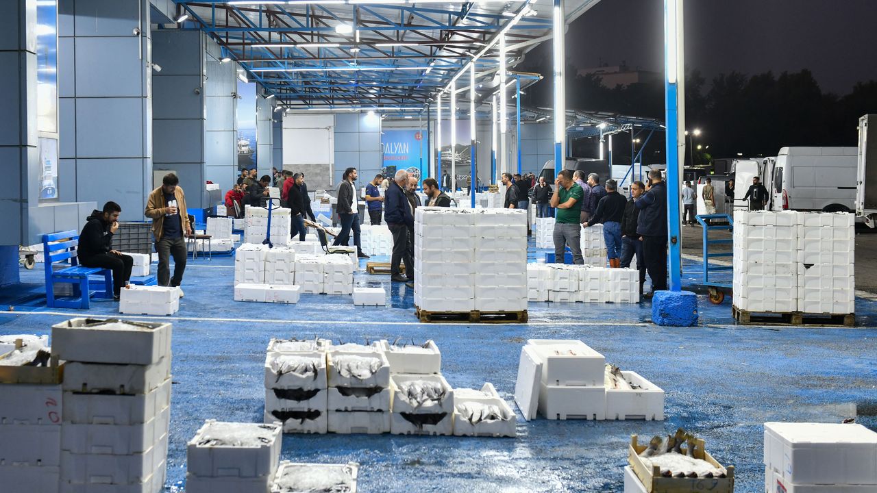 Balık avı sezonu açıldı