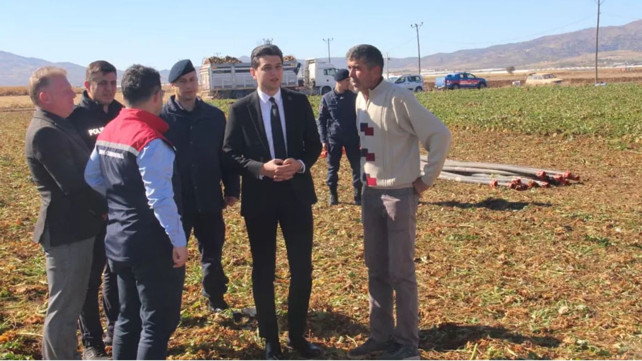 Burdur Tefenni ovası’nda pancar hasadı bereketi