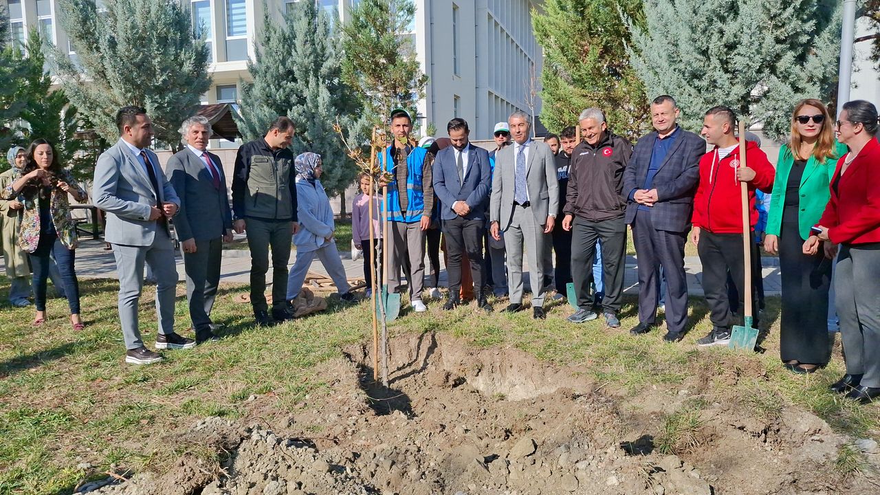 Beypazarı, Güdül ve Ayaş İlçelerinde eş zamanlı dikimi