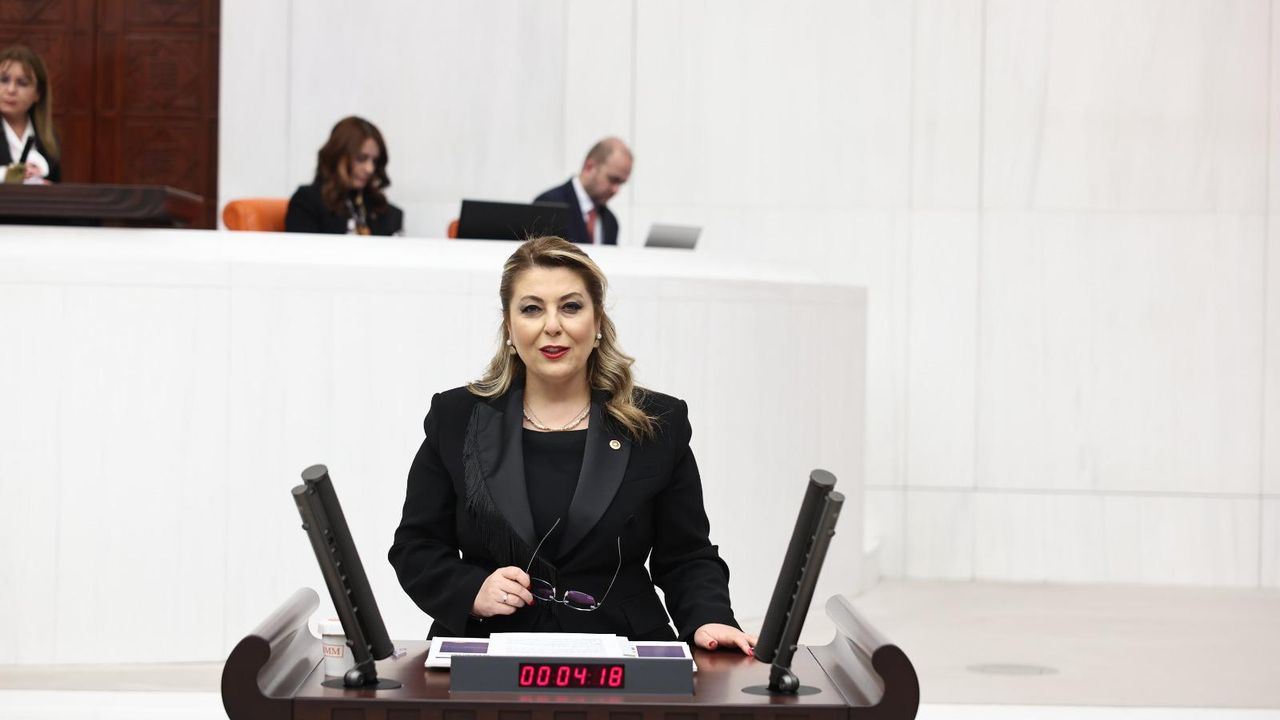 Elvan Işık Gezmiş Giresun'un ulaşım sorunlarını sordu