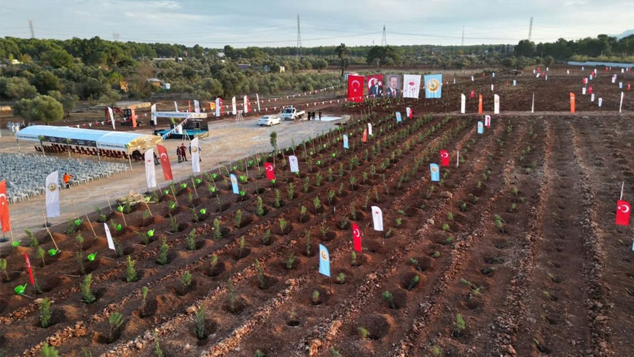 11 Kasım "Milli Ağaçlandırma Günü" için hazırlıklar tamamlandı