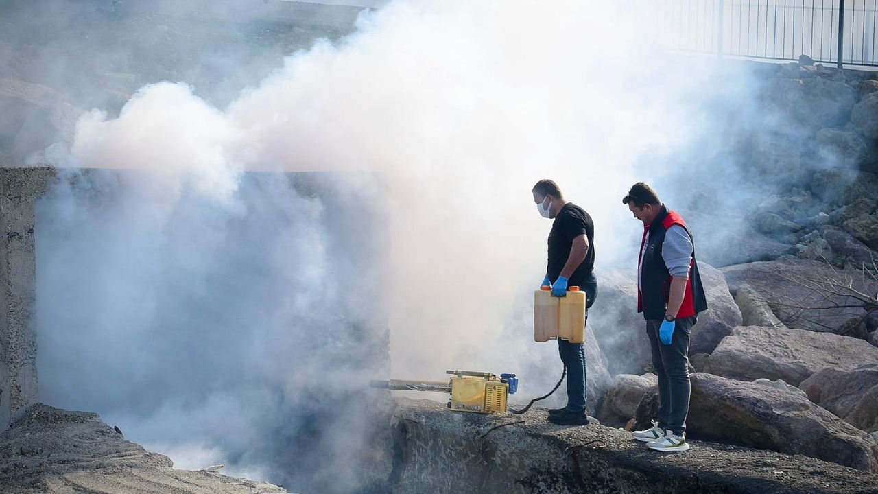 Giresun Belediyesi sahil bölgesi menfezlerini ilaçladı