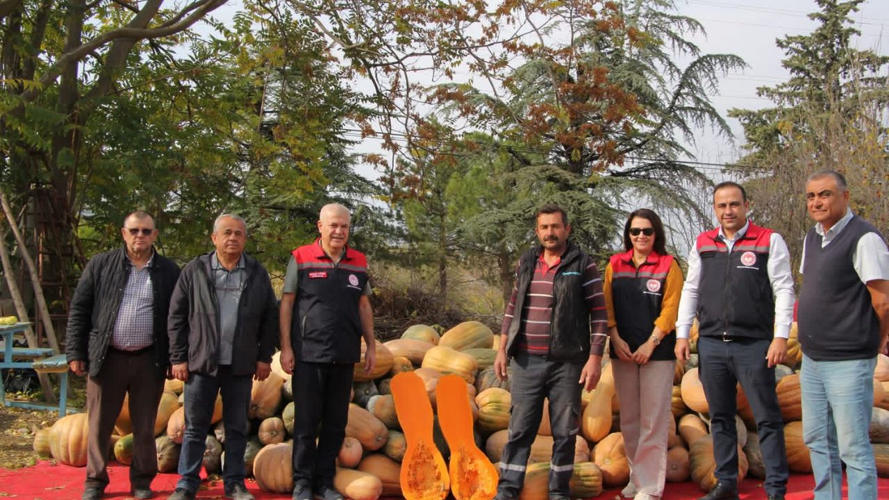 Isparta’da bal kapağı sezonu bereketli başladı