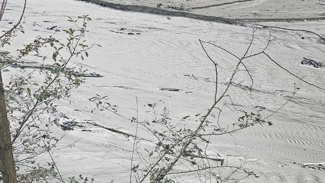 Harşit Çayı'nda tehlike çanları çalıyor