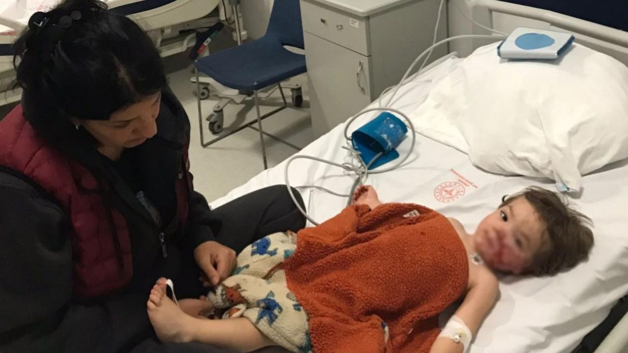 Ankara'da pitbull iki kardeşe saldırdı: Köpeğin sahibi gözaltına alındı