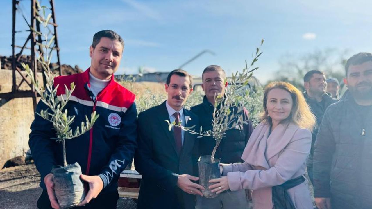 Bozdoğan'da 8 bin 700 fidan dağıtıldı