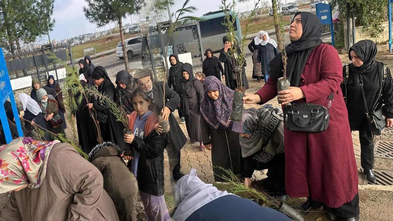 Batman'a ücretsiz fidan dağıtımı