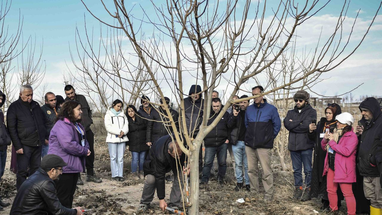 ABB'den meyve ağaçlarının gelişimine destek