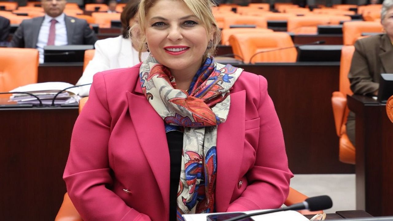 Elvan Işık Gezmiş; Emekli maaşı lütuf değil