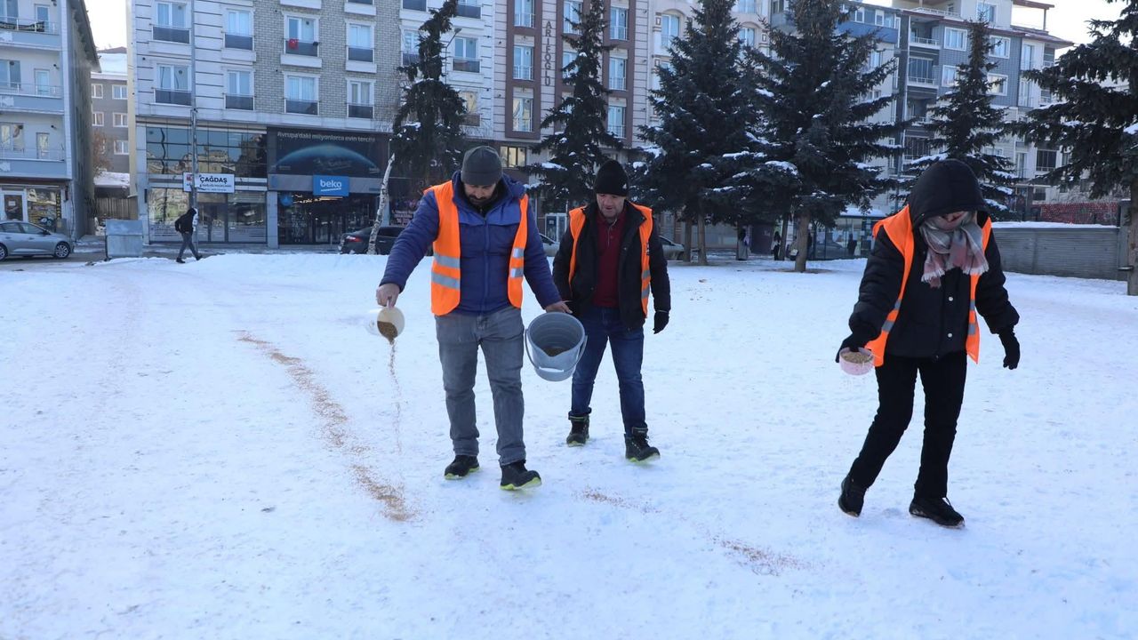 Kars Belediyesi’nden şefkat eli: Kanatlı dostlar unutulmadı