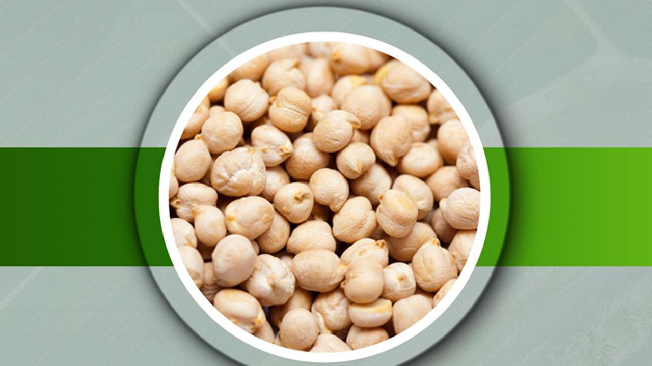 Başkan Dr. Özer Kasap: Nohut tohumu desteği başvuruları alınıyor