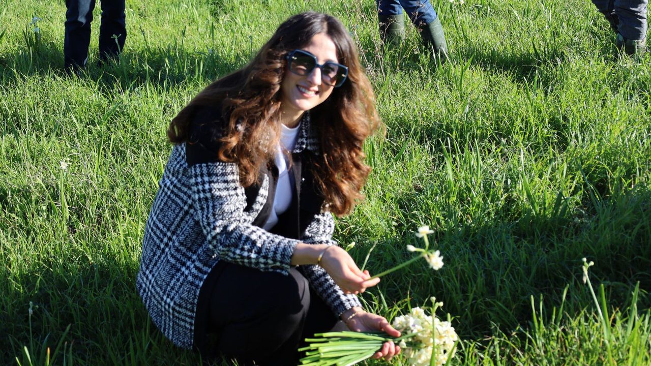 Kaymakam Kızılkaya, üreticilerle nergis hasadına katıldı