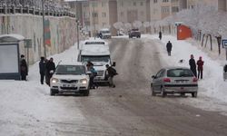 Van'da kar yağışı hayatı olumsuz etkiledi