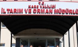 Kars'ta büyükbaş hayvan varlığı  604 bin 296