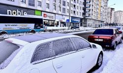 Erzurum buz kesti: Eksi 34 derece!