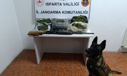 Isparta'da jandarmanın uyuşturucu operasyon bilançosu