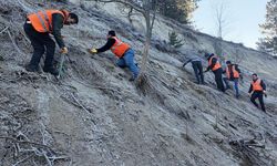 Isparta'da binlerce fidan toprakla buluşturuluyor