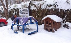 Kdz. Ereğli Belediyesi sokaktaki canları unutmadı!