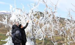 Amasyalı üreticiden dondan koruma için yenilikçi yöntem