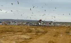 Ankara Büyükşehir Belediyesi’nin çevre ihlaline milyonluk ceza!