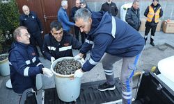 Antalya'da 300 kilogram sağlıksız midyeye el konuldu