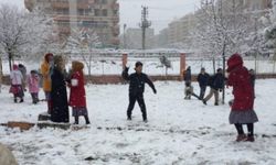 Van'da yoğun kar yağışı okulları tatil ettirdi